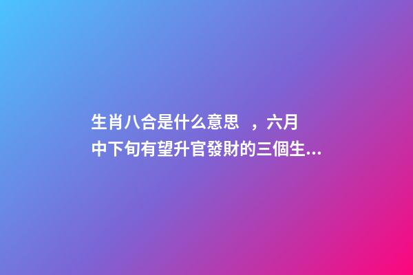 生肖八合是什么意思，六月中下旬有望升官發財的三個生肖!-第1張-觀點-玄機派